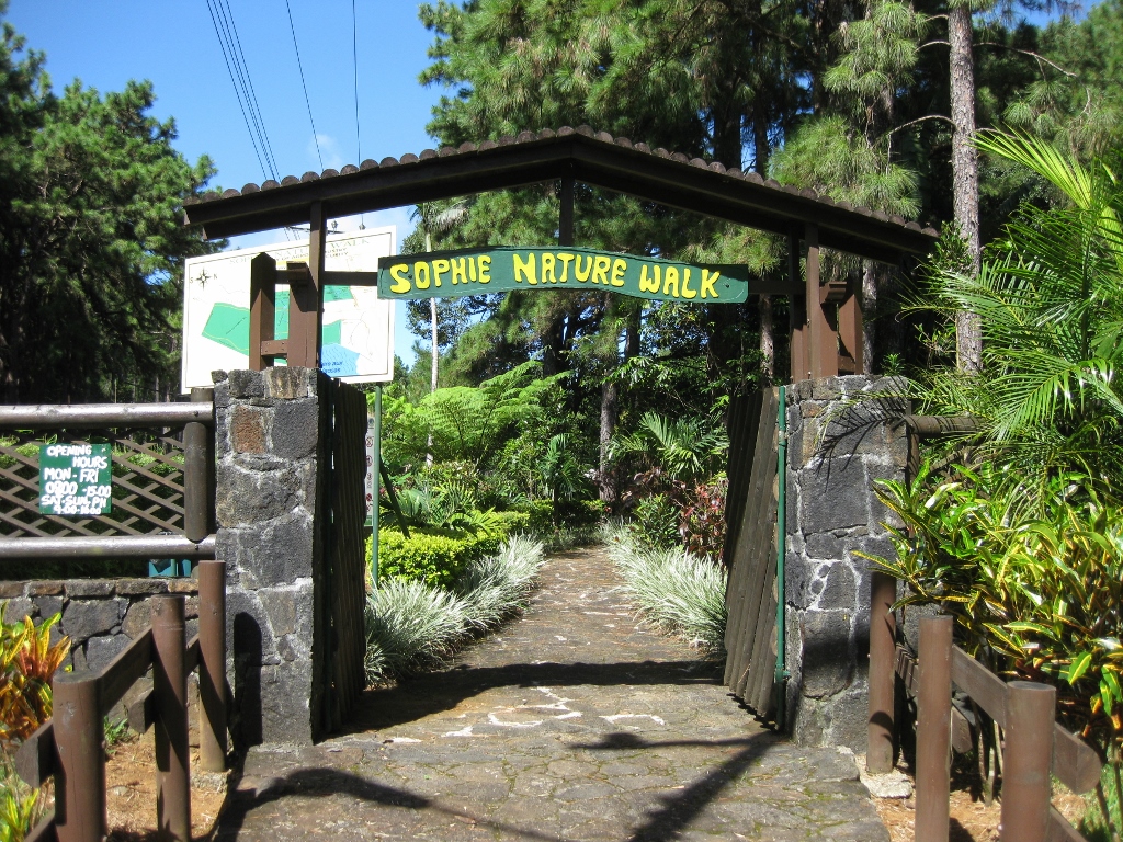 Discover Sophie Nature Park Mauritius: A Serene Escape Near Villa Bungaroo