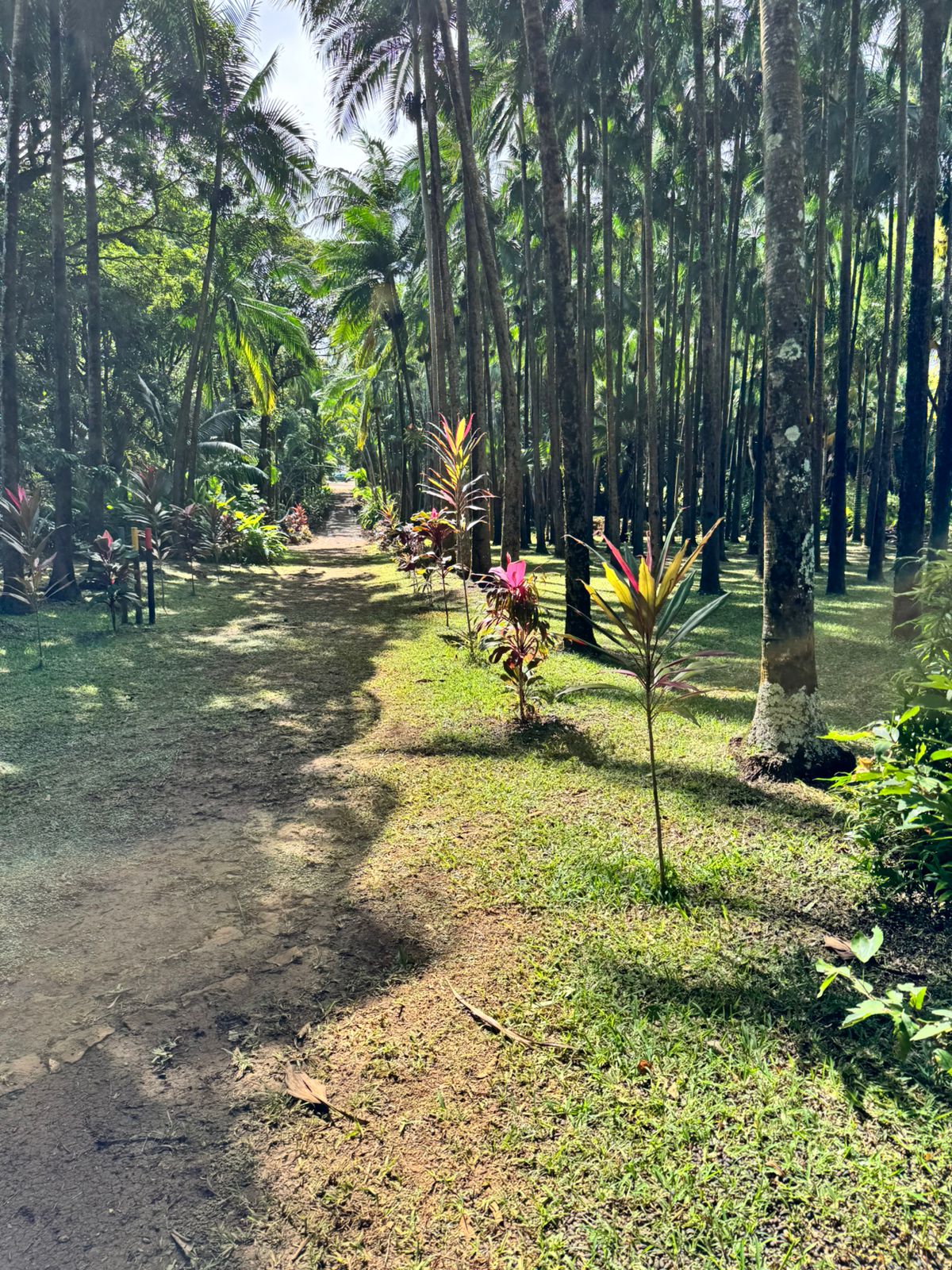 Ferney Valley hike