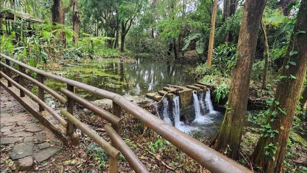 Sophie Nature Park Mauritius